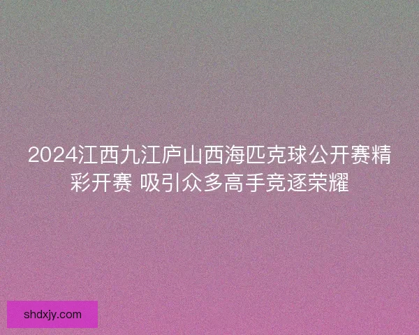 2024江西九江庐山西海匹克球公开赛精彩开赛 吸引众多高手竞逐荣耀