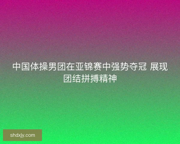 中国体操男团在亚锦赛中强势夺冠 展现团结拼搏精神